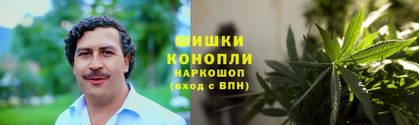 спиды Богданович